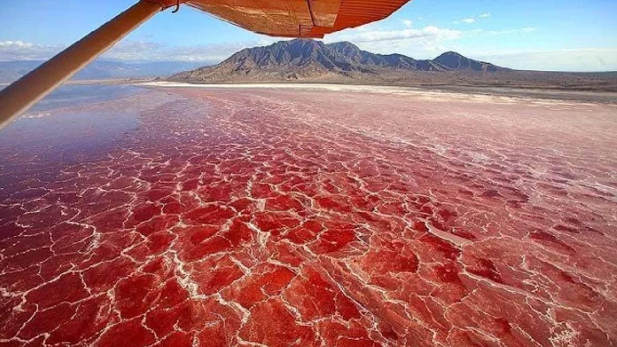 Lake Natron