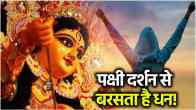 Navratri-2024-Watching-Auspicious-Bird