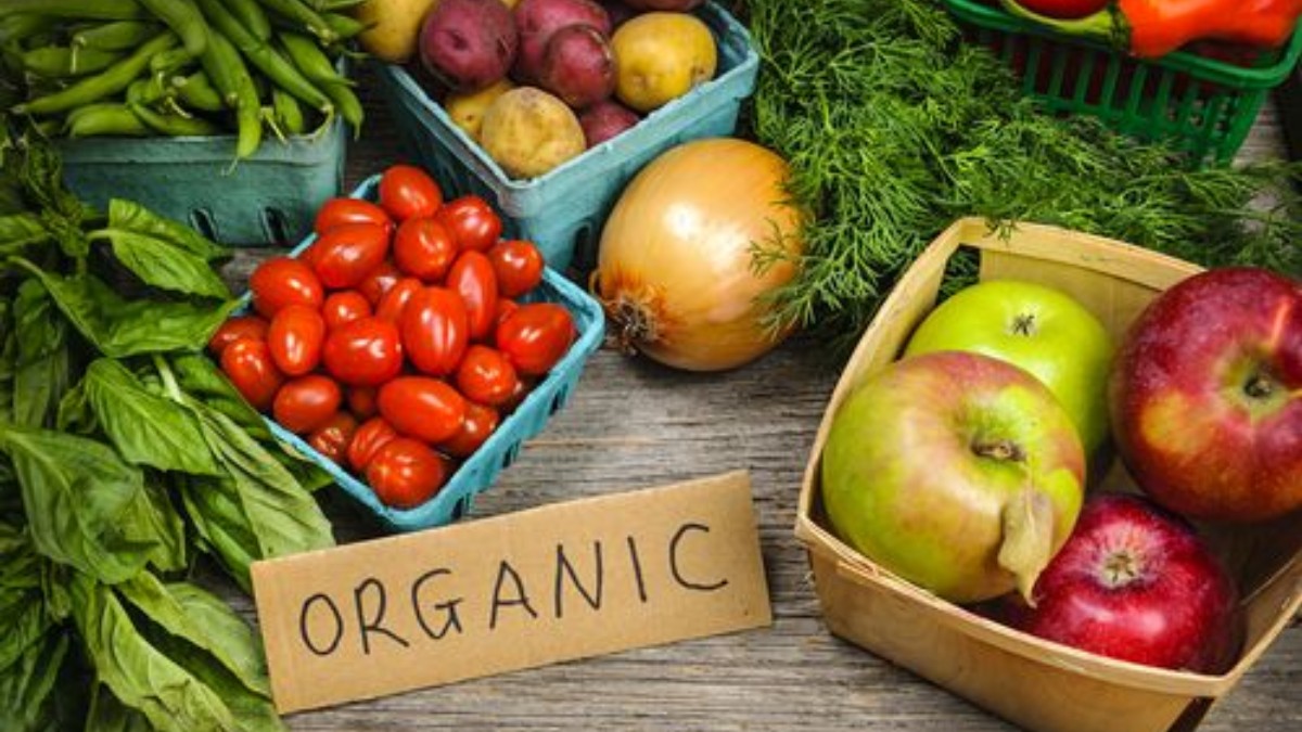 organic food 