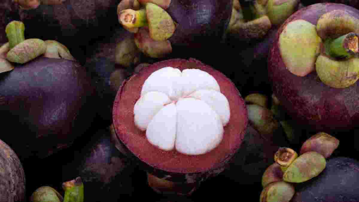 Mangosteen Benefits