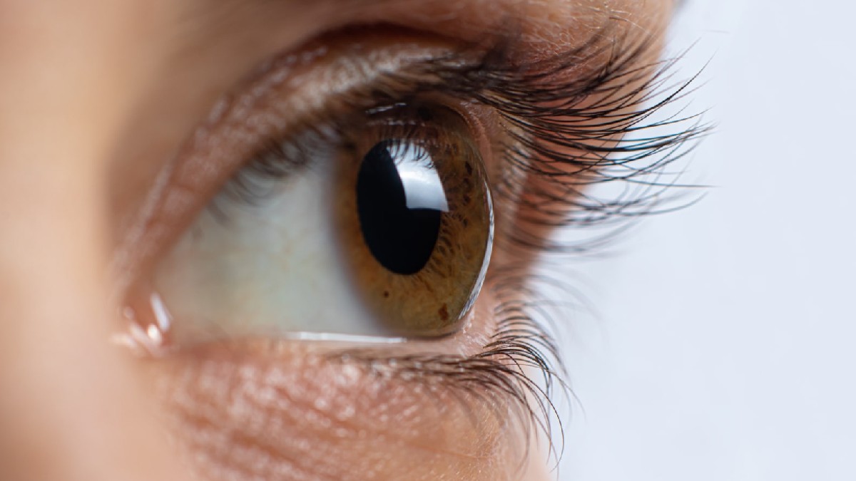 Eyes