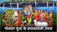 Govardhan Puja Upay 2024