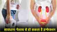 urine infection