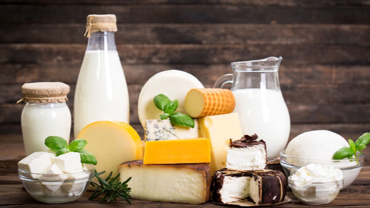 dairy products