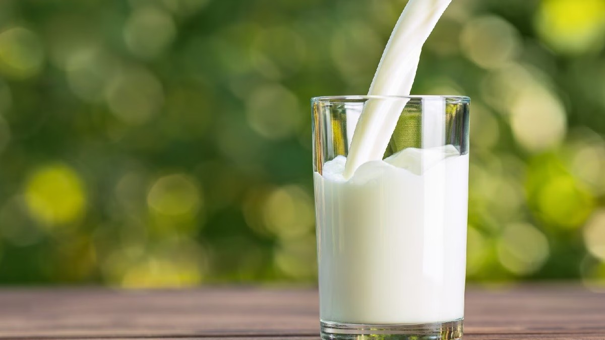 milk 