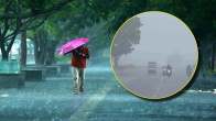 Weather Update