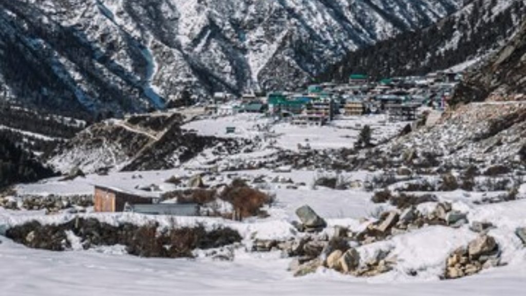 Auli