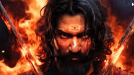 Chhaava Box Office Collection