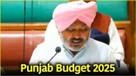 Punjab Buget 2025