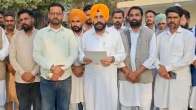 Punjab News (1)
