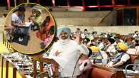 Punjab budget 2025 (2)