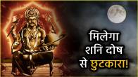Shani-Amavasya-2025