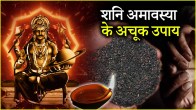 Shani Amavasya 2025