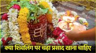 shivling prasad rules