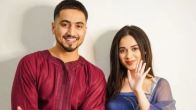 Faisal Shaikh Jannat Zubair Break up