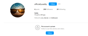 secret profile