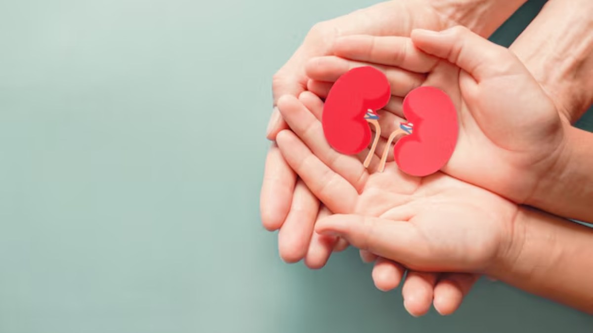 Kidney Health Tips