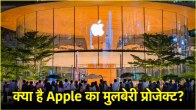 Apple Company Mulberry Project