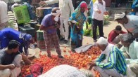 Farmers distributed Tomatoes free in Bulandshahr
