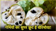 Cherimoya Benefits