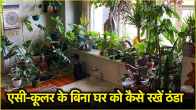 How to cool home without AC