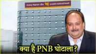 Mehul Choksi