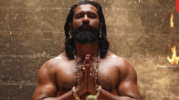 Chhaava Viwership on OTT Platform Netflix