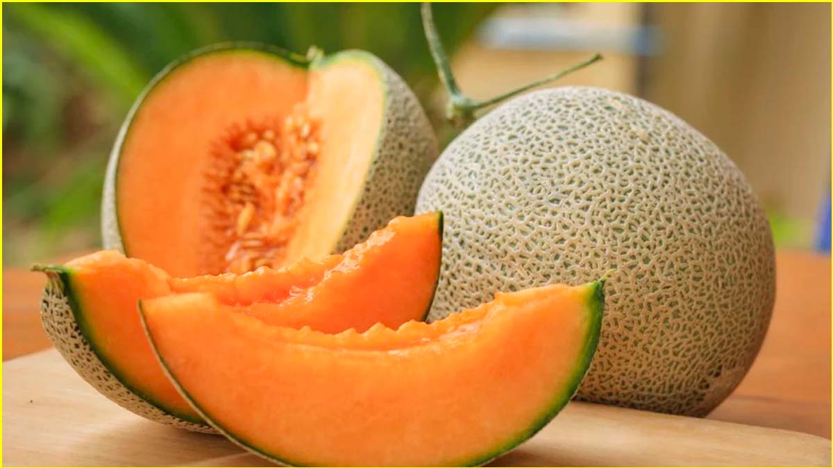 Muskmelon