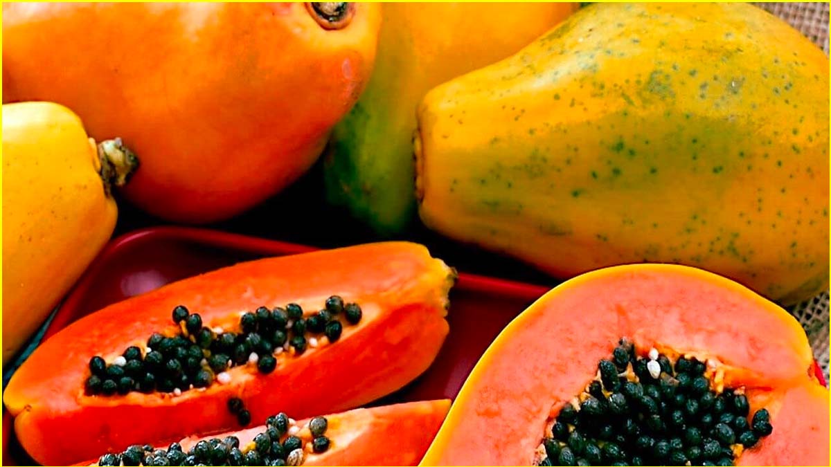Papaya