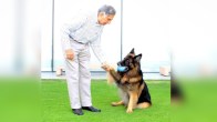 Ratan Tata estate distribution