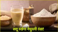 Sattu Recipes