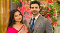 divyanka tripathi and vivek dahiya divorce rumors actor reaction goes viral