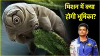 Water bears will go to space with India's Shubhanshu