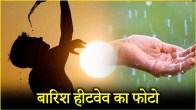 IMD Weather Forecast