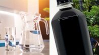 Black Water