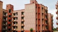 DDA News