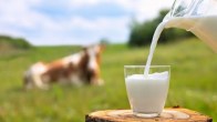milk price hike