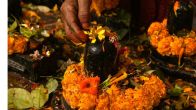 shukra pradosh vrat