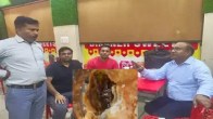 samosa-cockroach