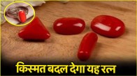 Moonga Gemstone