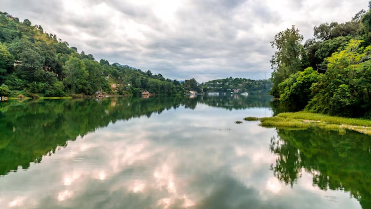 Image Source Freepik 
