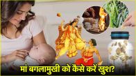 Baglamukhi Jayanti 2025