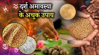 Darsh Amavasya 2025