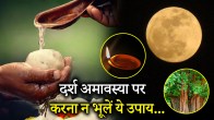 Darsh Amavasya 2025