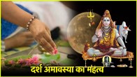 Darsh Amavasya 2025