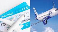 Indigo Summer Offer