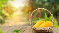 Mango Benefits