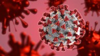 Coronavirus Latest Update India, Active Covid Cases in India, June 2025 India Covid News, कोरोना से मौतें भारत, COVID cases state wise India 2025, 10 STATES COVID CASES, DELHI COVID CASES, bihar corona news, kerala corona news, maharashtra