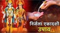 if-fast-of-nirjala-ekadashi-broken
