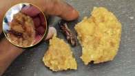 Andhra Pradesh Temple Prasad Viral Video